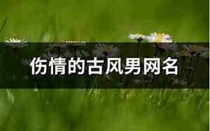 伤情网名男