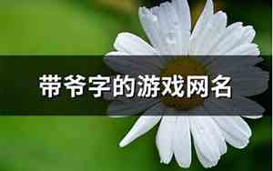 带爷的网名