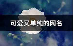 单纯网名