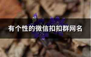 个性群网名
