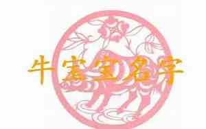 牛宝宝女孩腊月出生名字