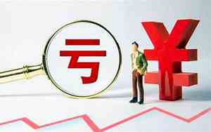 亏损的公司名字大全