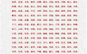 红警4好听的名字推荐