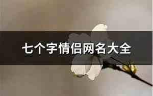 七个字情侣网名