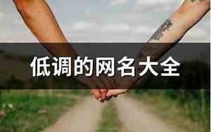 低调网名大全