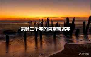 带赫宝宝名字