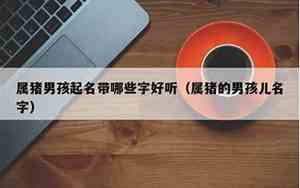 属猪男孩如何取名好听