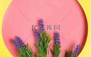 带薰衣草的网名