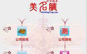 公司起名免费软件官方