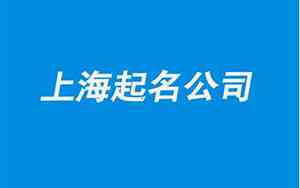 上海公司起名资料有哪些