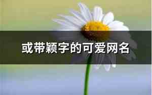 带颖字的网名