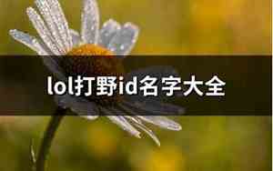 好听的联盟id名字