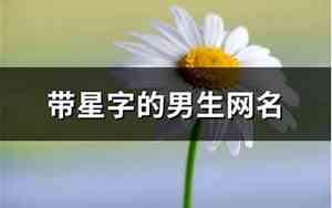 带星字的网名