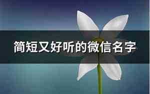 好听的微信名字可爱萌