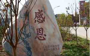 关于校园文化的公司起名