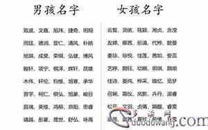 好听又沙雕的名字英文名