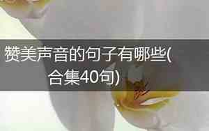 唱歌声音好听的句子