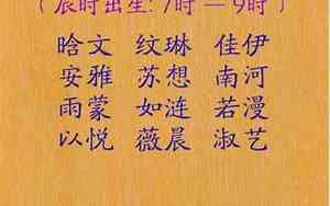 余陈鸡宝宝名字