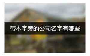 木字旁取的公司名字