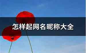 怎样起网名