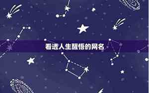 人生的网名