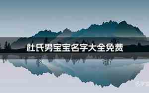 杜氏男宝宝名字