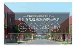 宠物生产公司名字