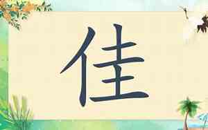 带佳宝宝名字大全