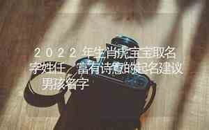 任姓水虎宝宝名字
