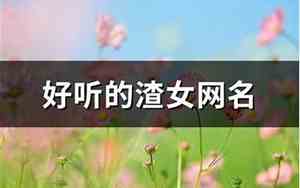 渣女的网名