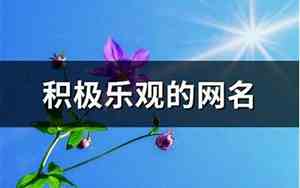 乐观的网名