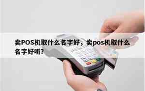 做pos公司名字