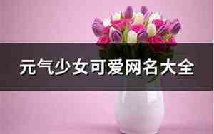 可爱少女网名