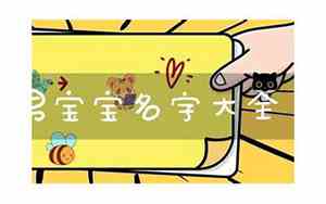 何加洪宝宝名字