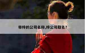 公司名字带梓的名人