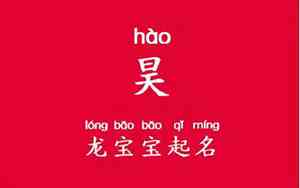 宝宝的名字带昊号