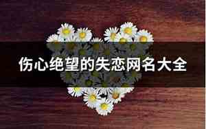 伤心绝望网名