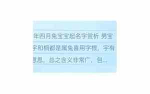 兔宝宝起名字测试