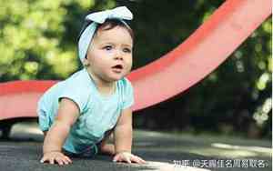 兔宝宝弟弟名字怎么取