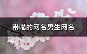 带喵的网名