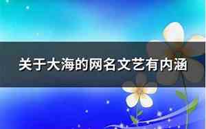 大海的网名