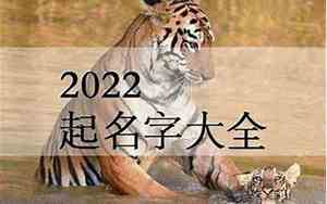 怎么给虎宝宝取好名字呢