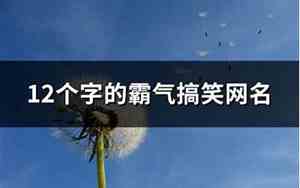 搞笑霸气的网名
