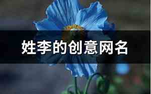 姓李的网名