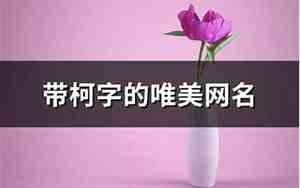 带柯字的网名