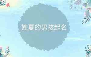 夏姓宝宝名字打分