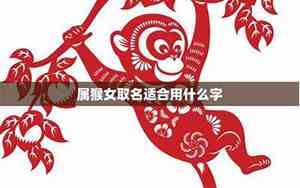 2016女猴宝宝取名字