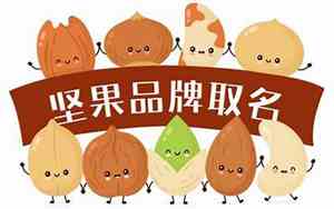 卖坚果公司起名怎么起的
