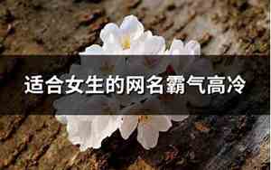 冷网名