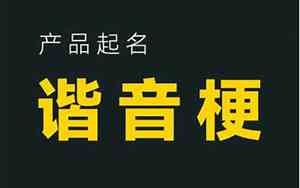 摄影公司起名谐音梗